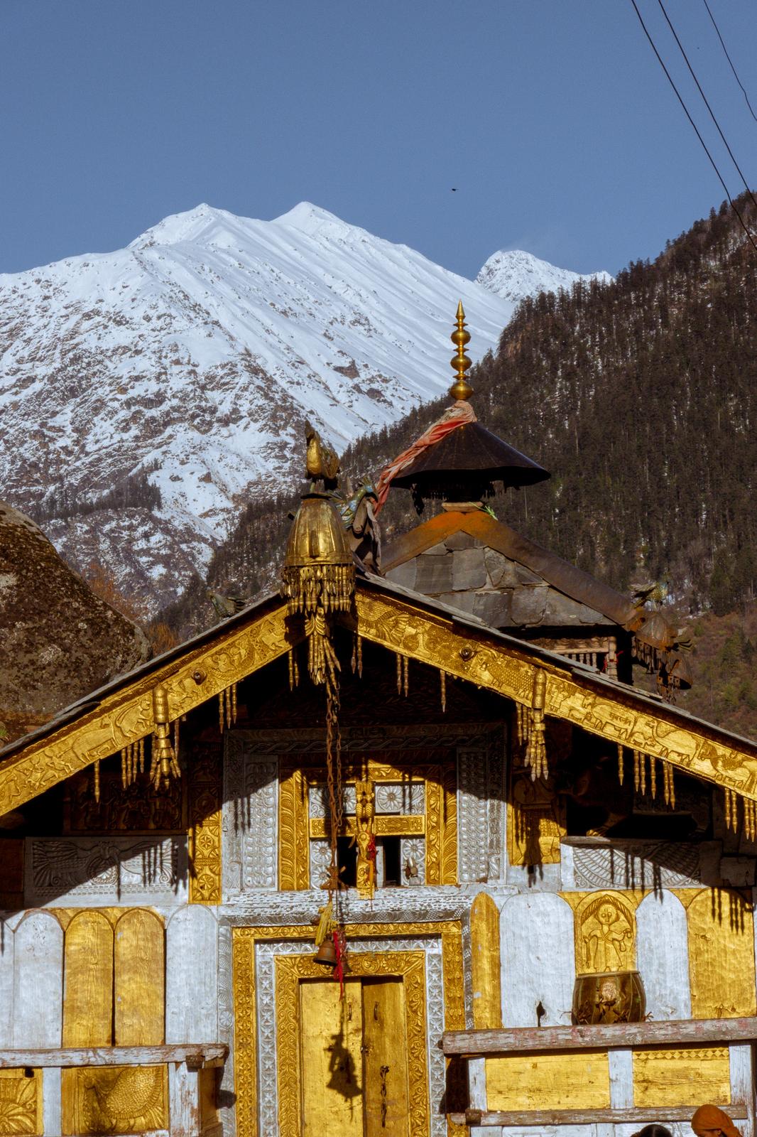 Le piante curative della valle di Shiva